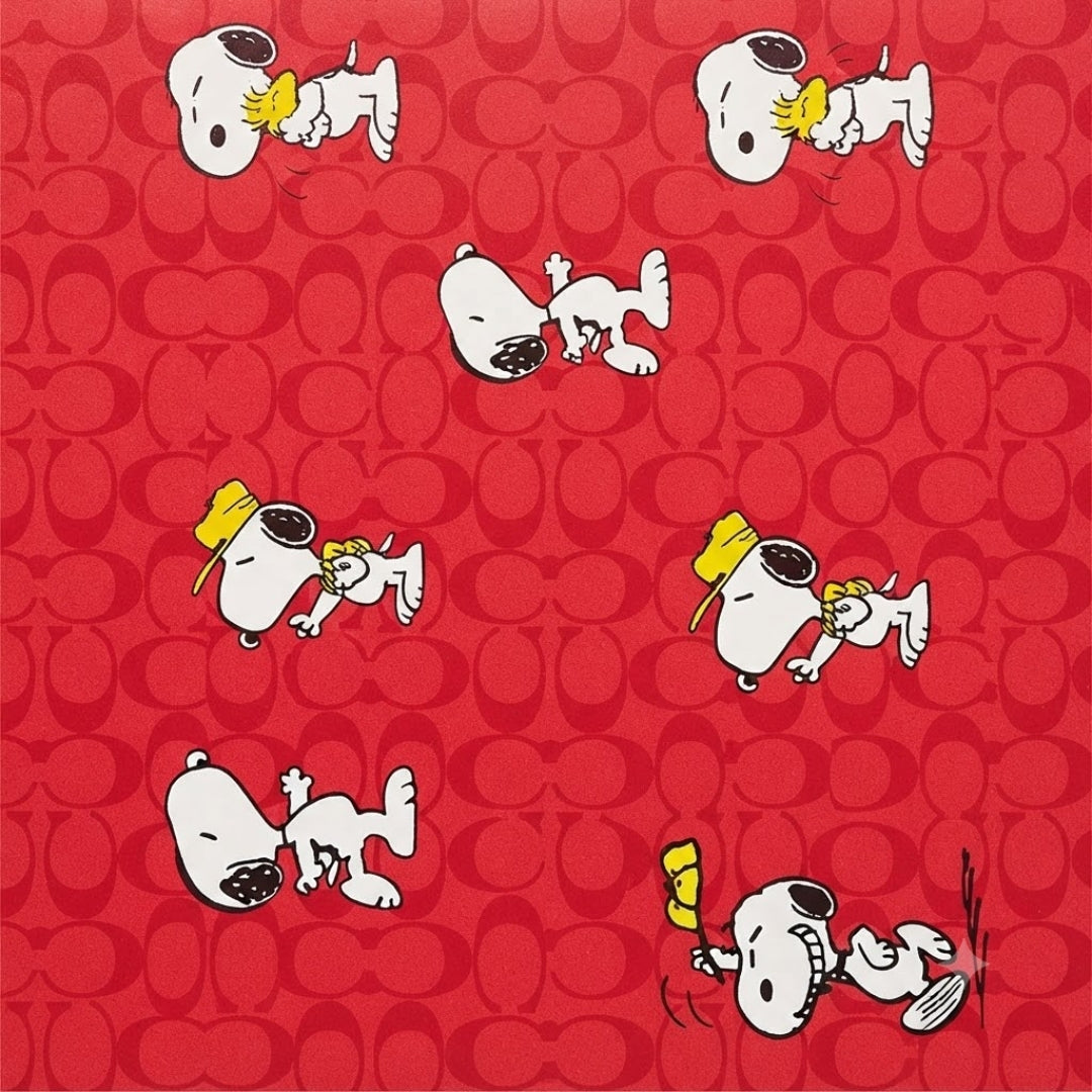 Papel Coreano Transparente Diseño Marco Floreado y Corazón - Paquete con 20 Pliegos para Ramos